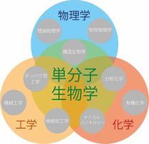バイオ単分子研究会
